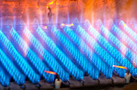 Clyne gas fired boilers